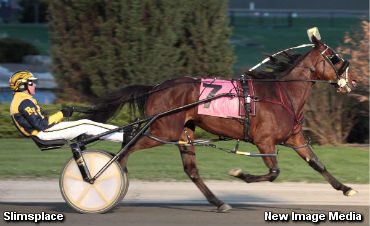 Princess Pacing Series Underway