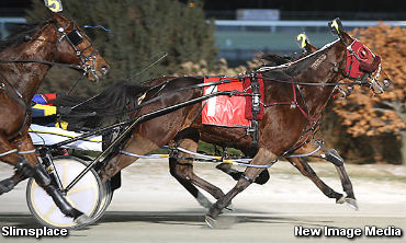 Miss Vera Bars Begins At Woodbine