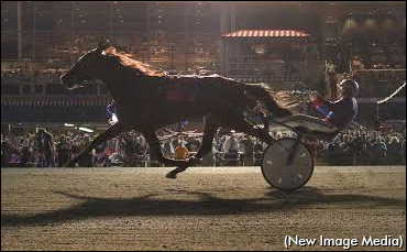 So God Made A Racehorse