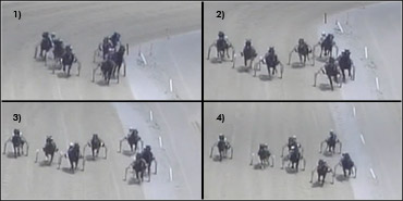 Winning Appeal For Wrangler Magic