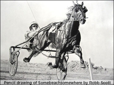 Somebeachsomewhere Inspires Art