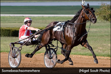 Somebeachsomewhere In Demand