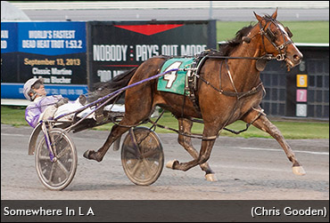 Third Stakes Title In Six Years?