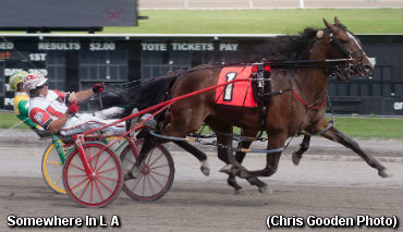 Stakes Record Set By Somewhere In L A  