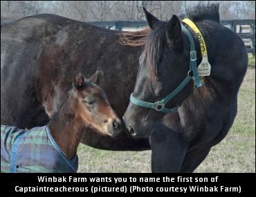 Name ‘The Captain’s First Son