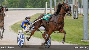 Sorrie's Star On The Rise