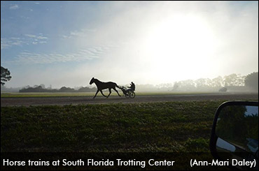 South Florida Trotting Center Sold