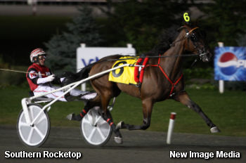 Dream Season For Southern Rocketop 