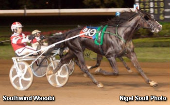 Southwind Wasabi Wins Moni Maker