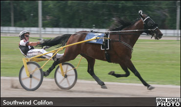 Trotter Injured In Paddock Accident