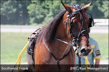'Frank' Finds His Best Stride