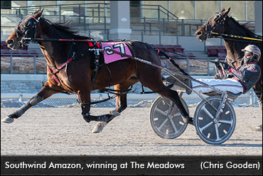 Southwind Amazon Keeps Rolling