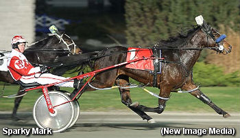 Sparky Mark Captures Autumn Stake