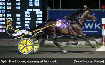 Split The House Sold, Jug-Bound