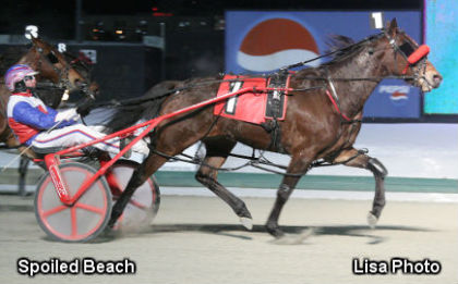 Faves Foiled In Tender Loving Care