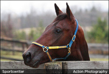 Meet Sportswriter On Industry Day