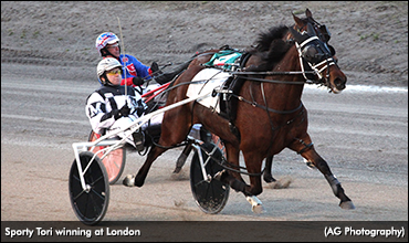 Six Straight For Sporty Tori
