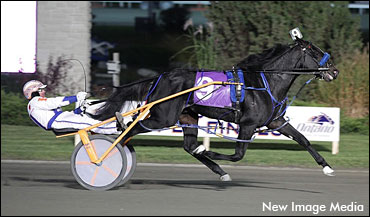 North America Cup Spring Book - #1