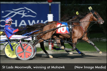 Darling's Five Grassroots Contenders