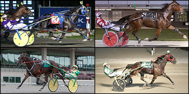 Milestone For Stable That God Loves