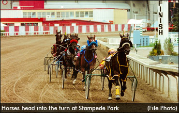 Report: Calgary Stampede Misses Horse Racing