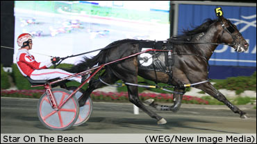 Beach’s Brother Learning The Ropes