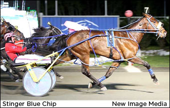 Stinger Blue Chip In The Diplomat Shocker