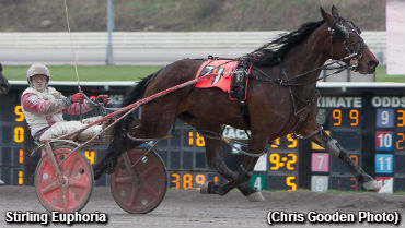 Stirling Euphoria In A Shocker