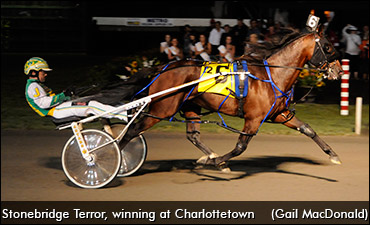 Stonebridge Terror Retired, To Stud