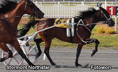 Stormont Northstar Hangs Up His Horseshoes