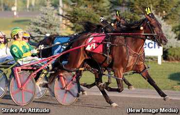 Whenuwishuponastar Pacing Series Final To Strike An Attitude