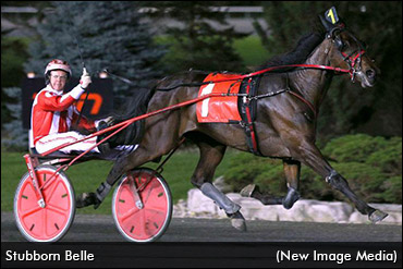 Bax On His Stubborn 'Crown' Contender