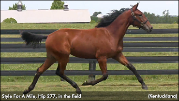 Style For A Mile Brings The Second-Session Bucks