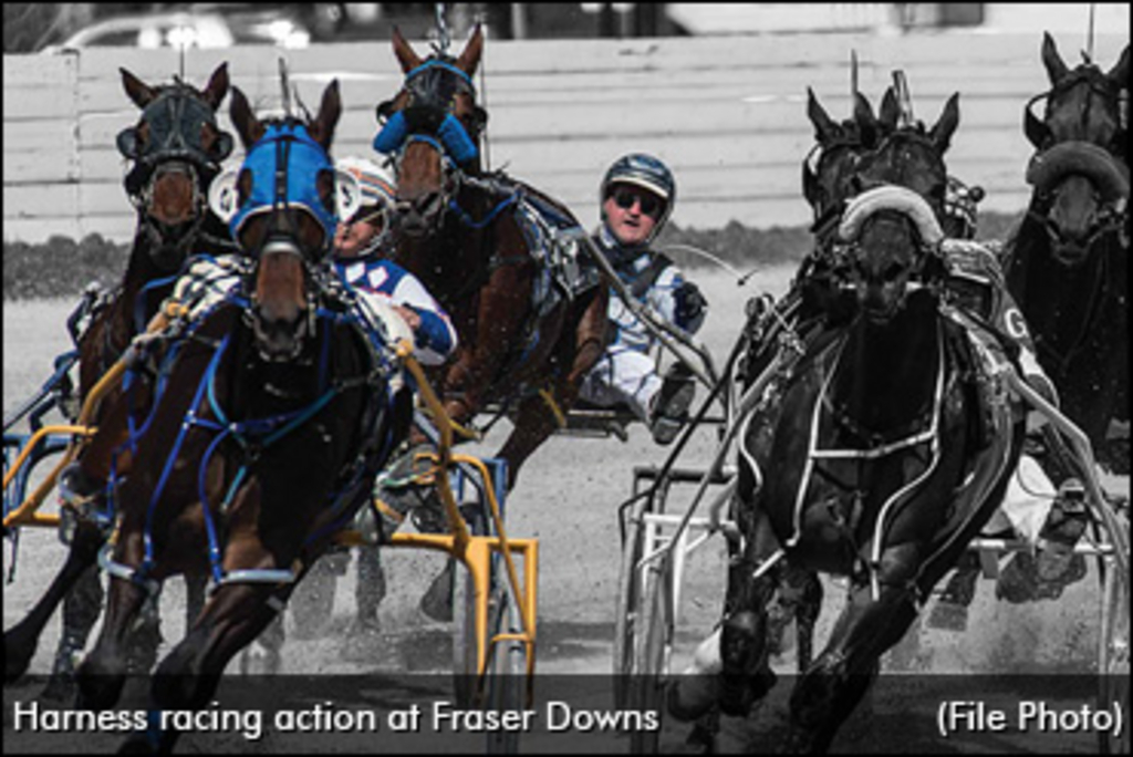 %2Fharness-racing-fraser-downs-370_0.jpg