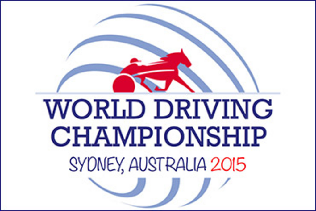 2015-World-Driving-Championship-Logo.jpg