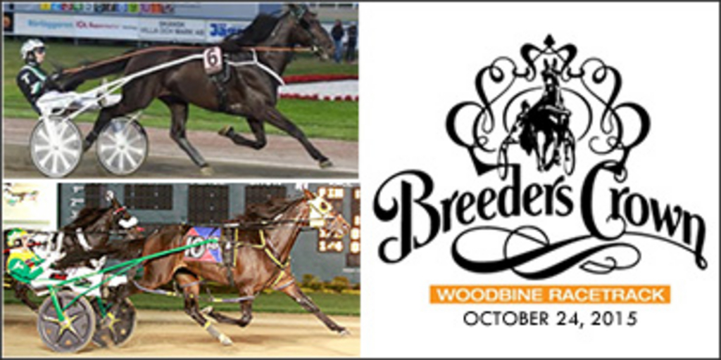 2015-breeders-crown-supplements-370.jpg