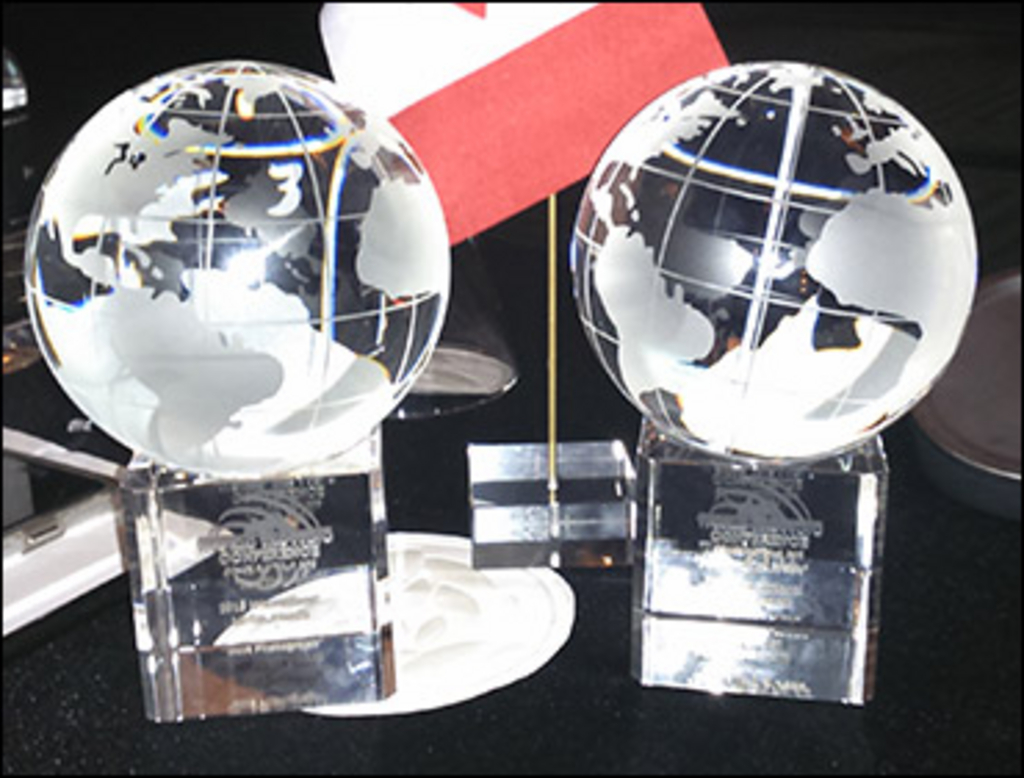 2015-international-media-awards.jpg