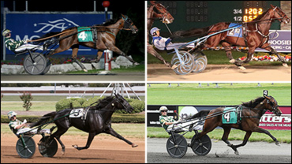 2017-harness-racing-poll-top-4-370.jpg