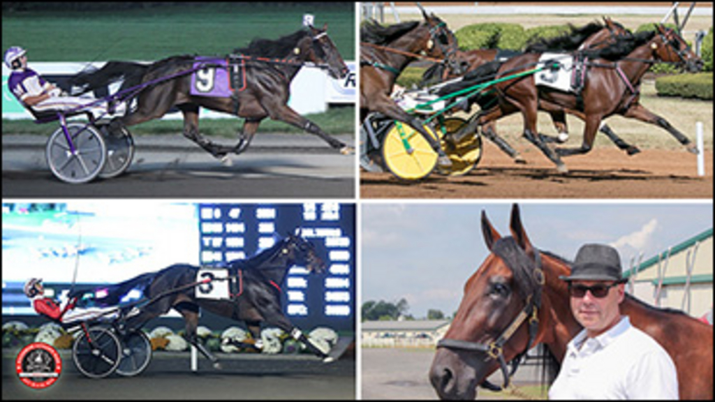 2019-Breeders-Crown-Jim-Campbell-370px.jpg