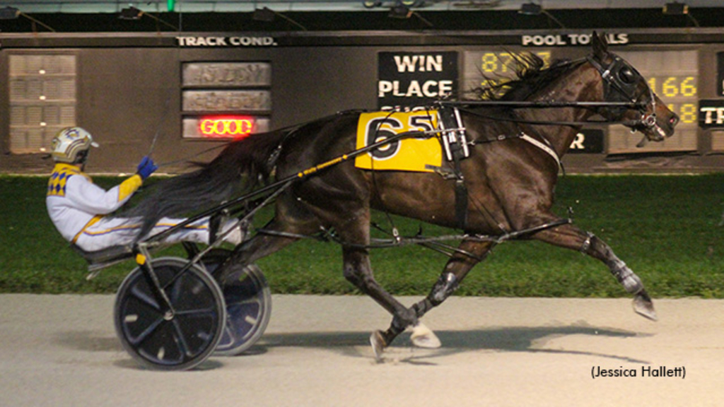 Prairie Panther, winning at Pompano Park