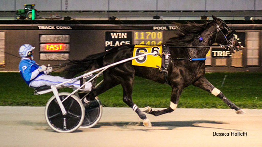 Toys For You and Rick Plano, winning at Pompano Park