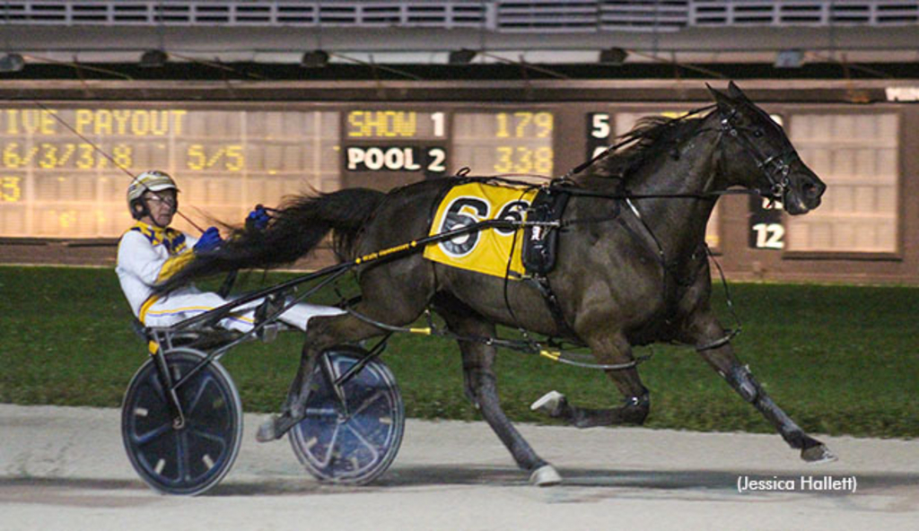 Sea Shadows, winning at Pompano Park