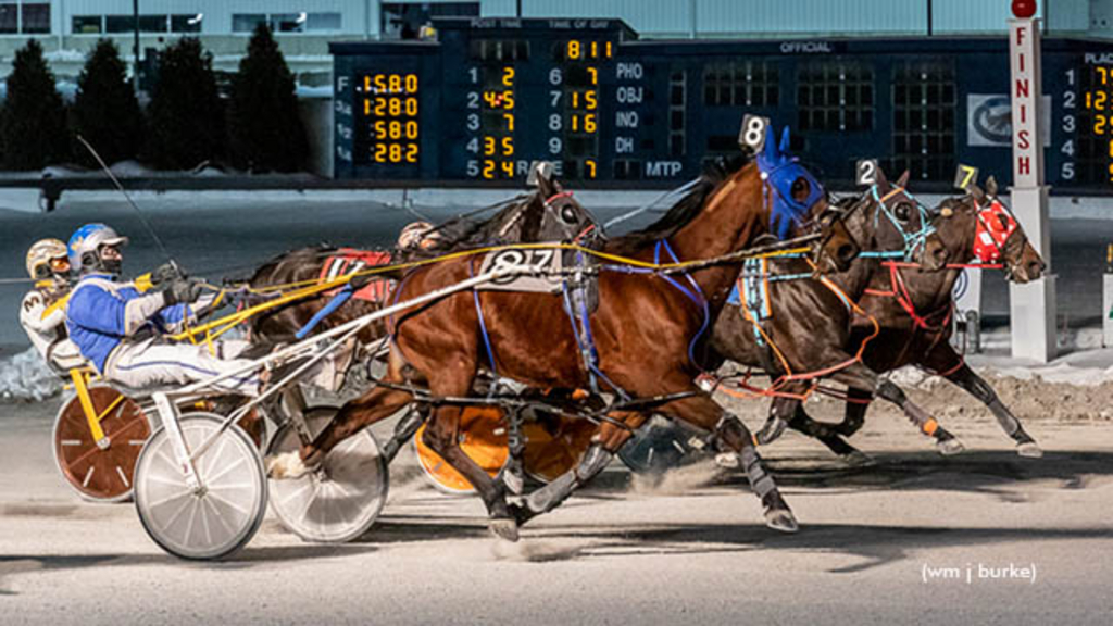 Harness racing at Buffalo Raceway