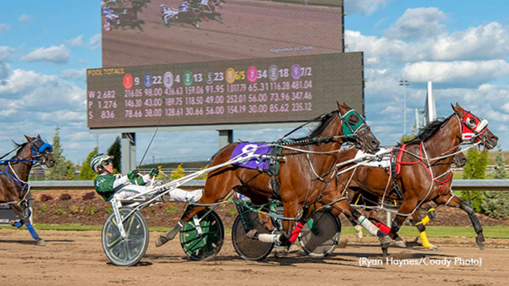 Harness racing at Century Mile