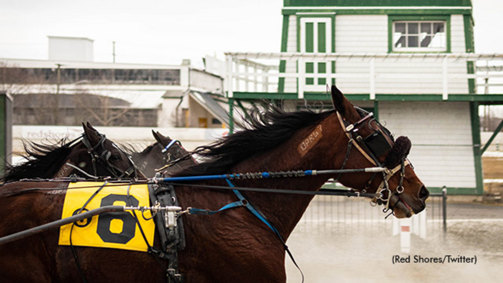 Harness Racing at Charlottetown Driving Park