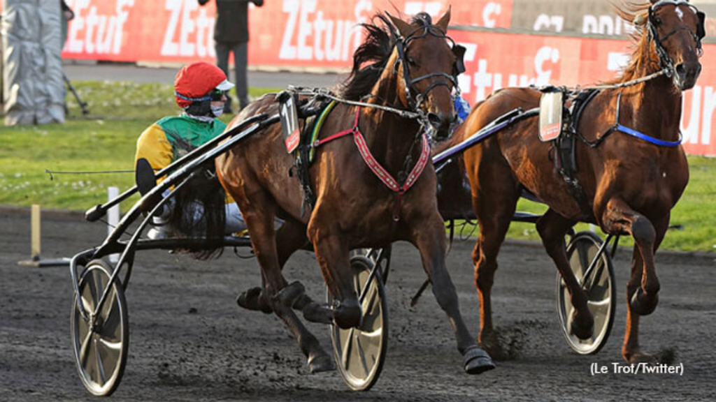 Davidson du Pont winning the Prix d'Amerique