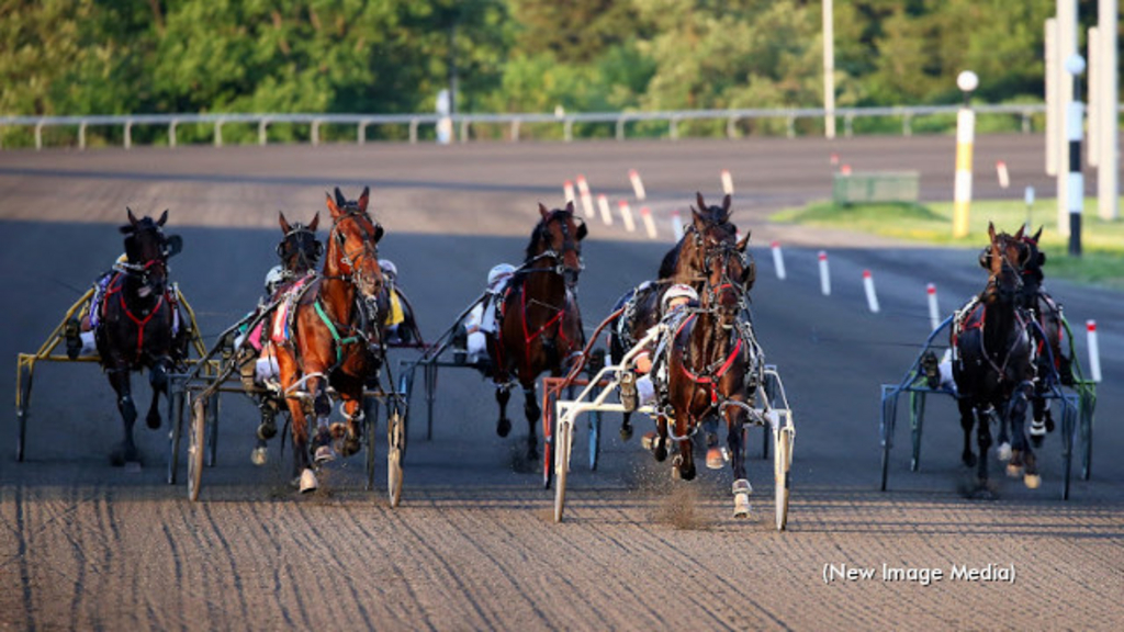 Harness Racing Action