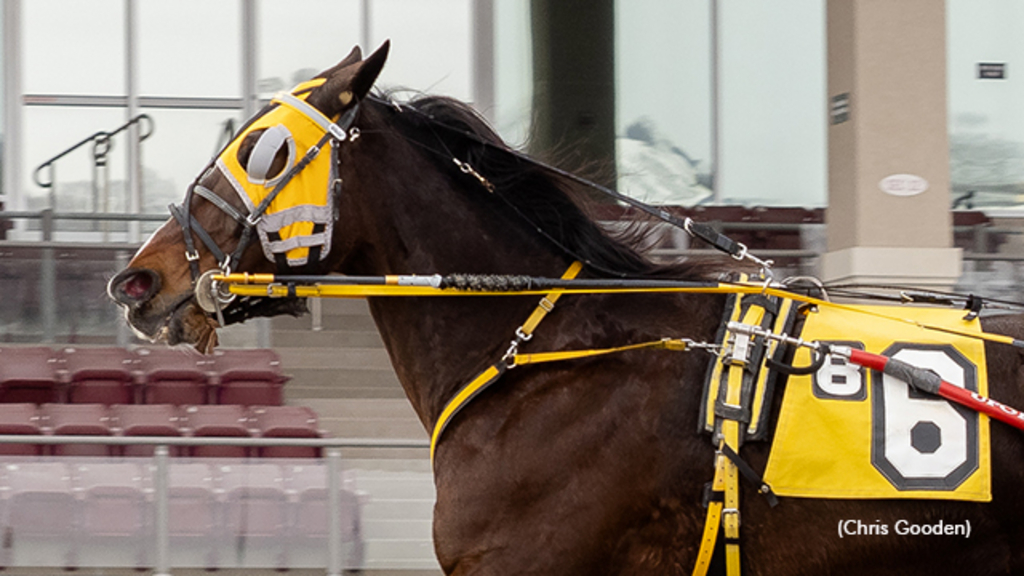 Ladys Dude winning at The Meadows