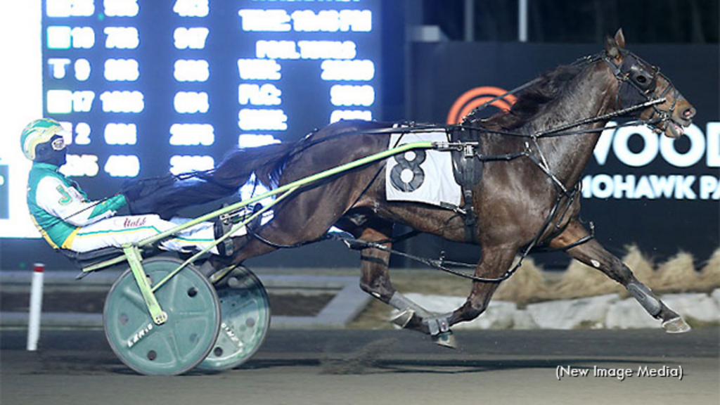 Sintra winning at Woodbine Mohawk Park