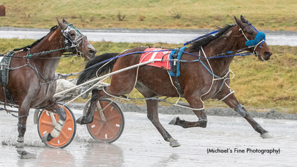 Tiempo Hanover winning at Fraser Downs